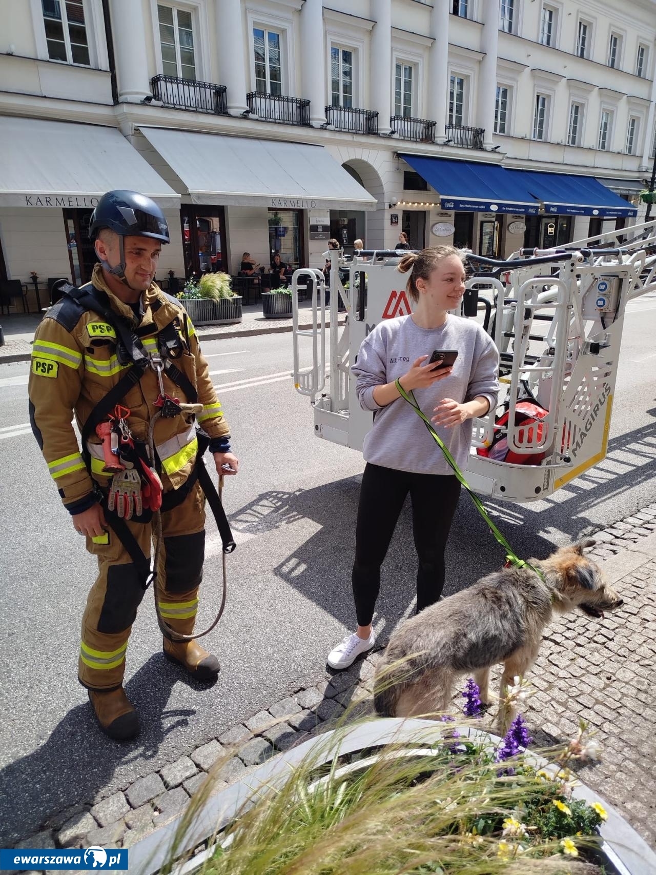 pies na dachu kamienicy na Nowym Świecie | fot. facebook.com/kmpspwarszawa