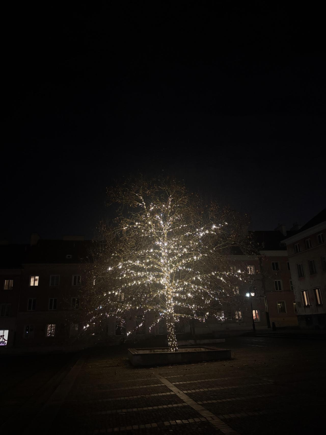 ilumincja świąteczna na Mariensztacie | fot. Bartosz Pańczyk