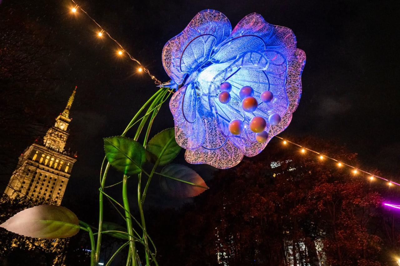 nowa całoroczna iluminacja świetlna w Parku Świętokrzyskim | fot. Rafał Trzaskowski/facebook